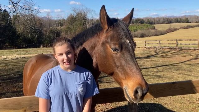 Introduction - Life on Longstocking Farm смотреть онлайн