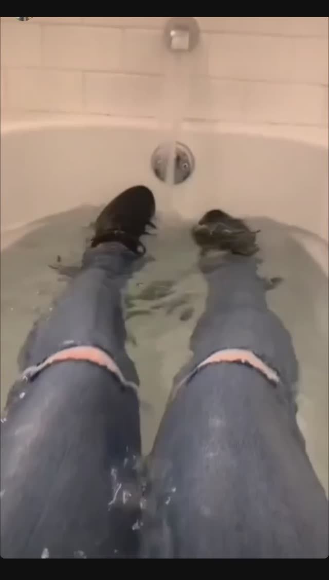 Taking a bath in your clothes смотреть онлайн