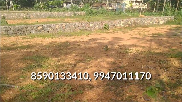 കോട്ടയം പെരുമ്പനച്ചി തോട്ടക്കാട് Bus റൂട്ടിൽ 83 cent സ്ഥലം വിൽപ്പനയ്ക്ക് #8590133410 смотреть онлайн