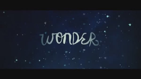 Wonder