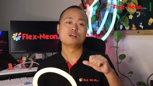 What's LED Neon Flex Why choose Flex-Neon.com смотреть онлайн