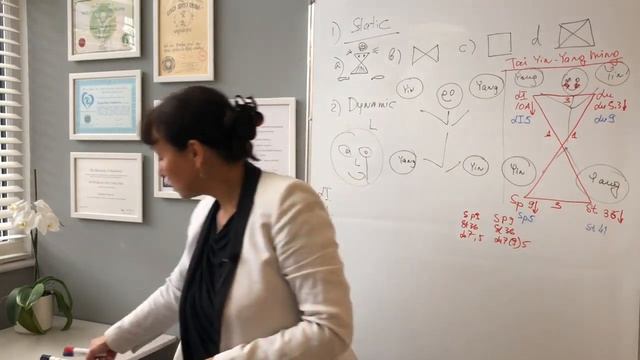 Dr Tan Global Balance 3 Tai Yin Yang Ming Pattern смотреть онлайн