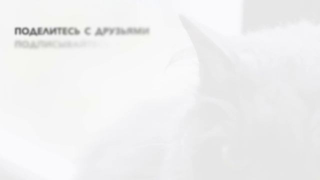 Умные Мысли со Смыслом от Кота #11 смотреть онлайн