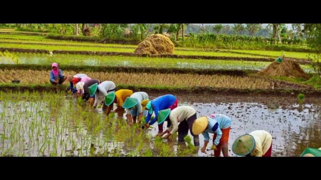 Hadrat Sahib: Early Life Part One Narrated by Muhammad Amin смотреть онлайн