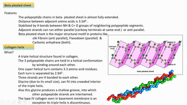 STRUCTURAL LEVELS OF PROTEINS & RAMACHANDRAN PLOT (MSc)| Dr.Rani.S.Dharan HOD | Zoology | SGC смотреть онлайн