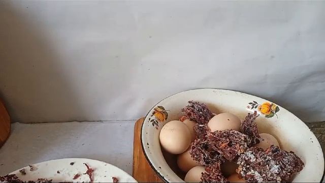 Historical Investigations