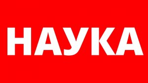 SILAGAR | ПУБЛИЦИСТИКА | Наука, Брат...