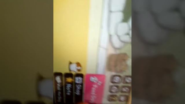 Котик симулятор смотреть онлайн