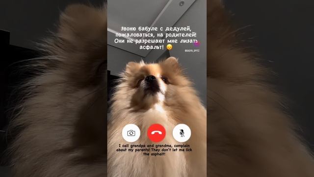 Я звоню бабуле с дедулей #1 смотреть онлайн