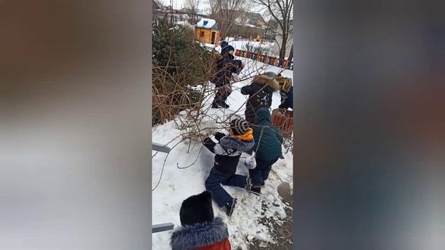 Акция. Зима- не забудь про птиц. смотреть онлайн