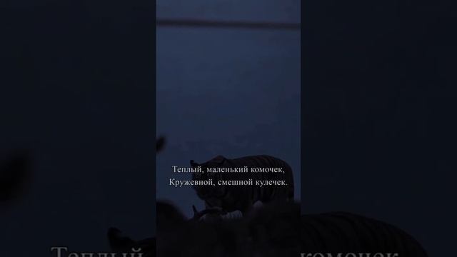 Рождение сына! #отсердцаксердцу #поэзия #стихи смотреть онлайн