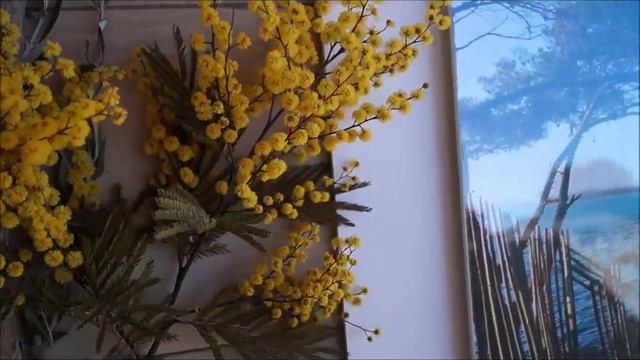 Les mimosas смотреть онлайн