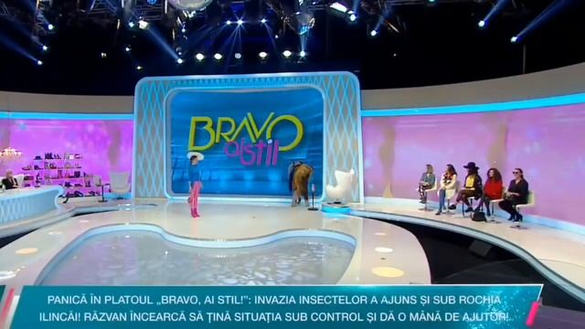 ПАУК В ТРУСИКАХ!!! телевидущая внезапно оголилась!!! смотреть онлайн