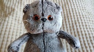 Новые приключения Басика и Лили: "Сюрприз для Лили"