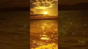 Душевный романс на мелодичном украинском языке.  Уляна Ковалик.