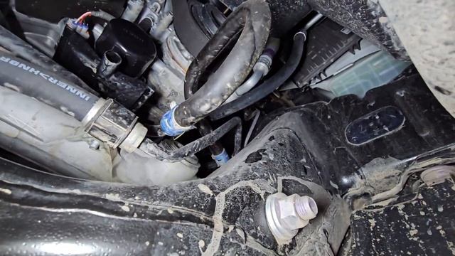 LC300 22г.в. 3200км. 3.3 дизель (F33AFTV). Мини обзор. Замена масла в ДВС.