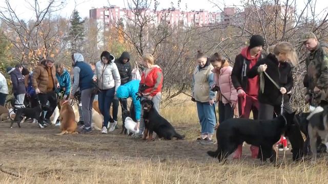 Ральф. второе групповое занятие смотреть онлайн
