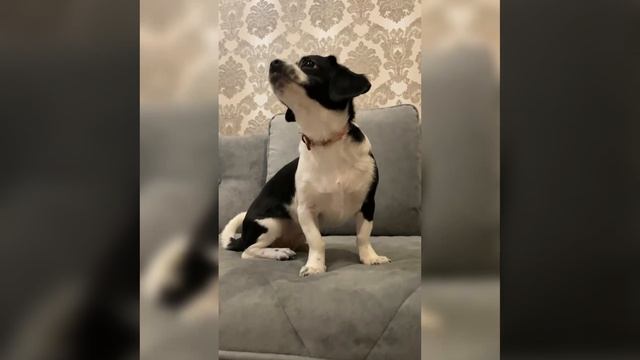 Гаечка смотреть онлайн