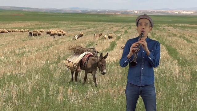 El Burrito Sabanero | Música De Navidad | Villancico | Christmas Song In Spanish | Tuki Tuki