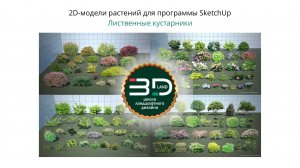 2D-растения для SketchUp. Кустарники и лианы