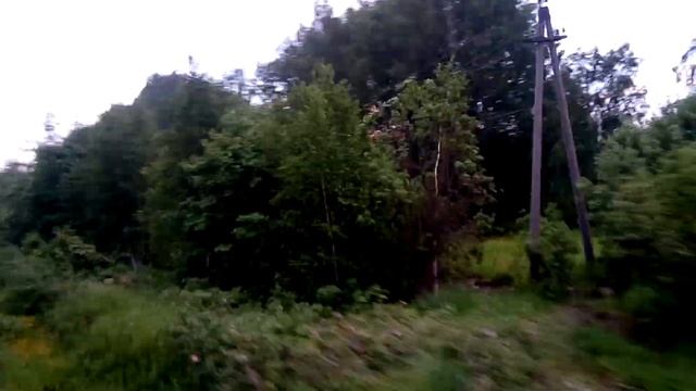 СОБАКА БЕЖИТ НАПЕРЕГОНКИ С ЭЛЕКТРОПОЕЗДОМ ! смотреть онлайн