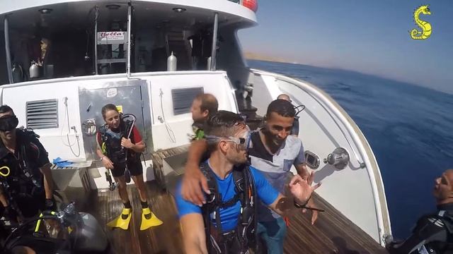 Best Red Sea Day смотреть онлайн