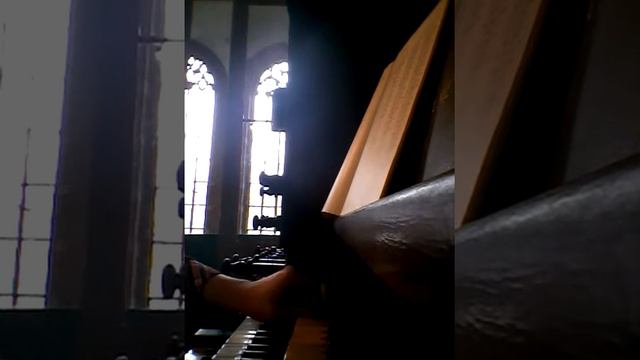 Eigen lied voor de Vox Humana. смотреть онлайн