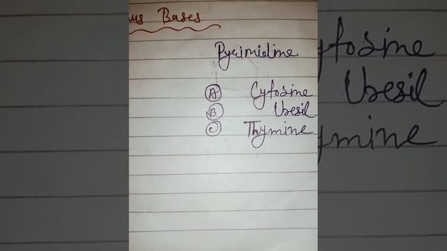 Nitrogenous Bases #✍️✍️#purine And Pyrimidine #biochemistry And Molecular Biology