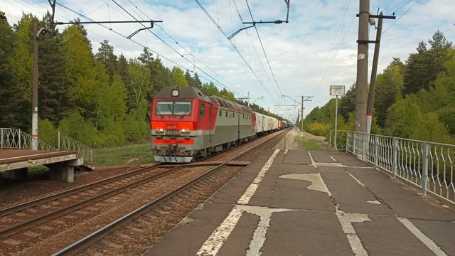 Разнообразие грузовых и пассажирских поездов на платформах Заполицы и Запутная Московской Ж/Д смотреть онлайн