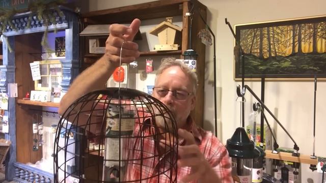 How to Keep Grackles, Starlings and Other Problem Birds Out of Your Feeders смотреть онлайн