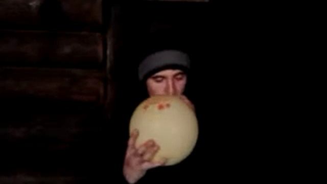 Приколы.Шарик. смотреть онлайн