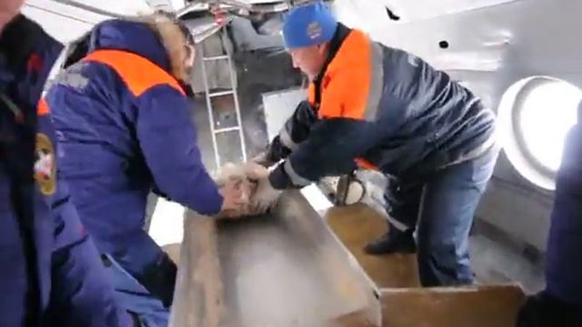 Сброс муляжей зарядов внутри вертолета смотреть онлайн