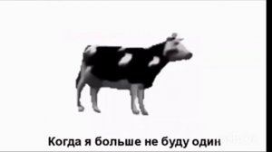 песня коровы