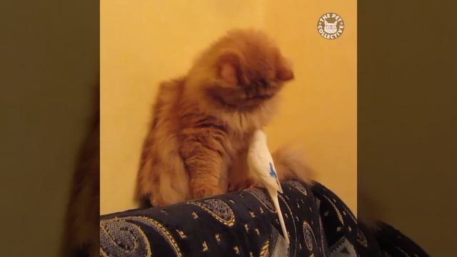 And I thought I had a good RBF смотреть онлайн
