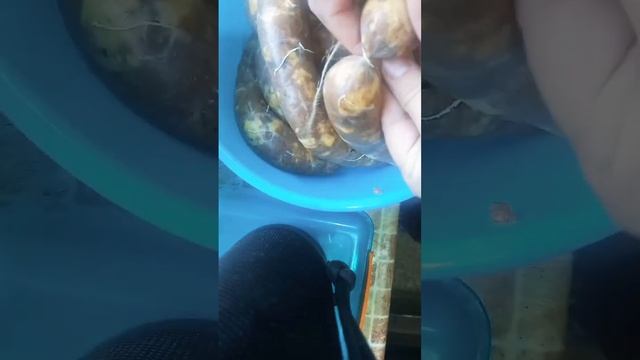 #рецепт #еда #рецепты #купаты #канина #домашниекупаты смотреть онлайн
