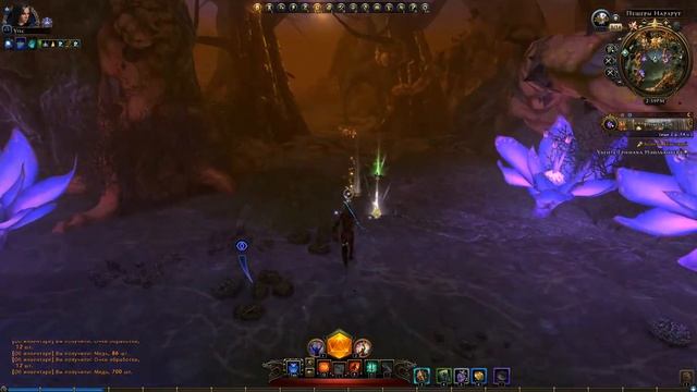 Дополнение #27 - Корень Бедствий. Neverwinter Online (прохождение) смотреть онлайн