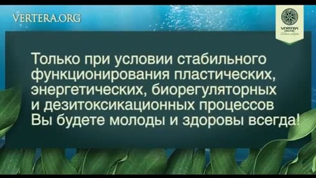 Vertera® Комплексная программа омоложения и очищения организма DRR protection смотреть онлайн