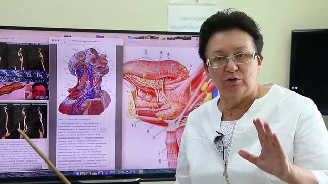 Значение лимфатического массажа шеи для регуляции мозгового кровообращения. [Шишова О.И.]