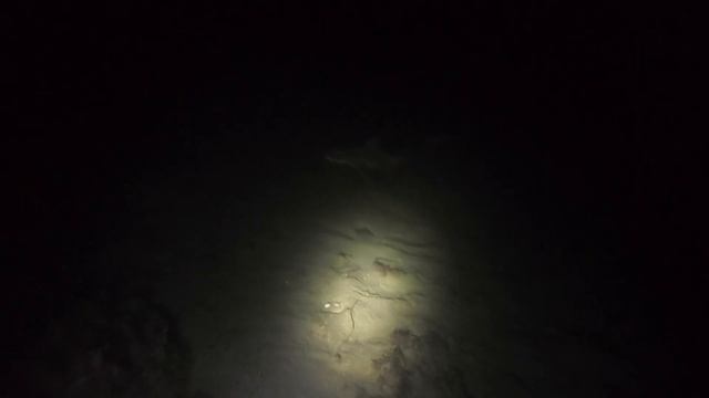 Shark Night смотреть онлайн