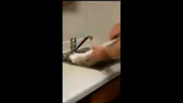 Indigo Cleaning Video смотреть онлайн