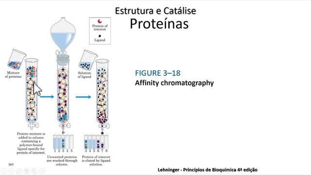 1 1 estrutura e catalise parte 4 смотреть онлайн