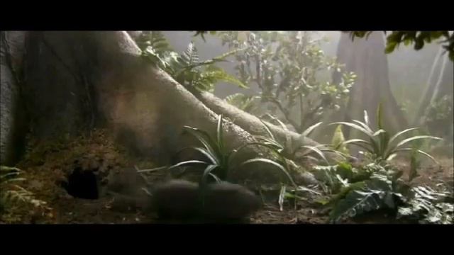 Romeo and juliet prologue edit 1 смотреть онлайн