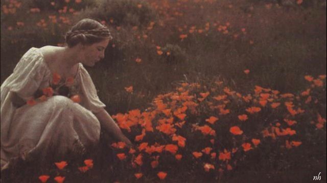 Sara Naeini - Del Yar (Türkçe Çeviri)