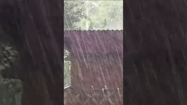 Июньский дождь. Дмитрий Шлапак смотреть онлайн