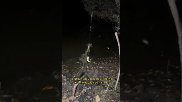 В чем секрет ловли карася осенью?🎣 #fishing #рыбалка #russia #fishman #карась #carpfishing смотреть онлайн