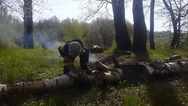 Утро 8 мая 2016г. в лесу. смотреть онлайн