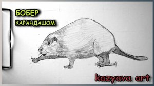 Как нарисовать БОБРА карандашом. Поэтапное рисование