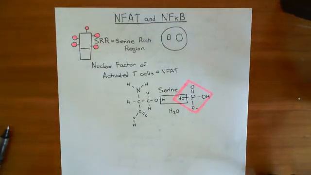 Nuclear Factor of Activated T Cells and Nuclear Factor Kappa B Part 1 смотреть онлайн