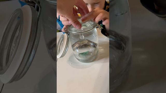Опыт с корабликом смотреть онлайн