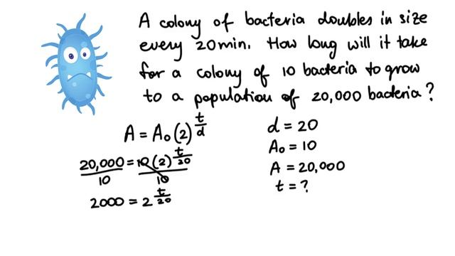 Exponential Functions: Doubling Period and Half Life смотреть онлайн